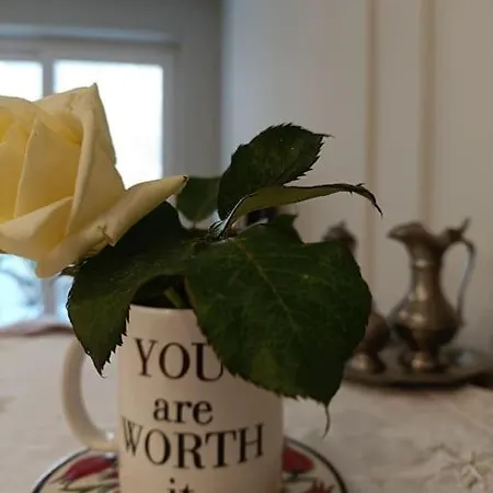 Appartement Center -braga