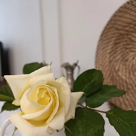 Center -braga * براغا