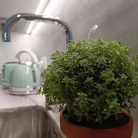 Center -braga * براغا