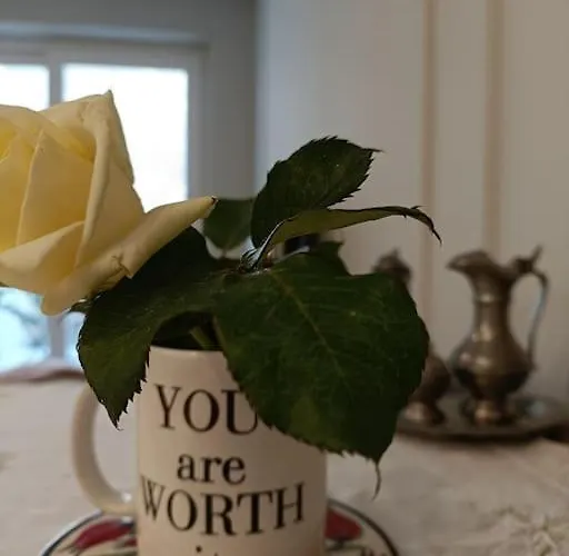 Lejlighed Center -braga