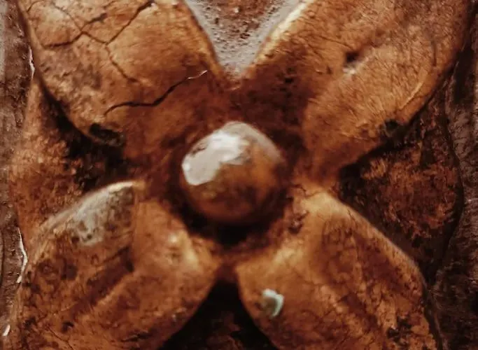 Apartament Center -braga Braga