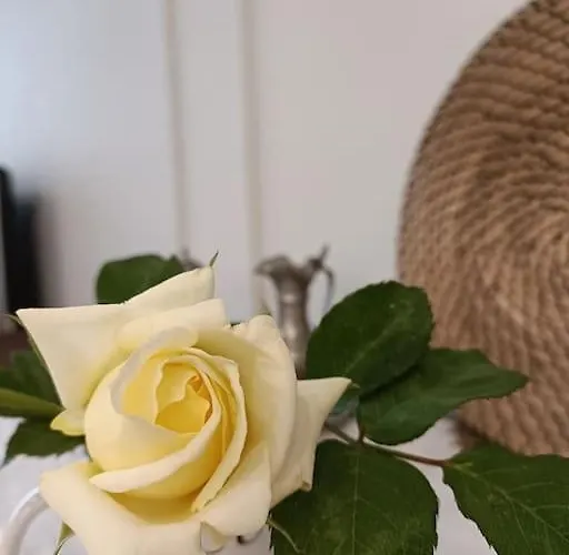 Center -braga * Braga